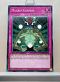 Yugioh! Speed Duel GX: Duelists of Shadows Singles - Set E/F (SGX3 - Common) 1st Edition
