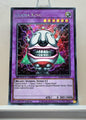 Yugioh! 1x Ojama King (SGX1 - Secret Rare) 1st Edition