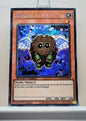 Yugioh! 1x Winged Kuriboh (SGX1 - Secret Rare) 1st Edition