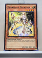 Yugioh! Starter Deck: Saber Force Singles (YS15 - Common) 1st Edition