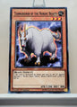 Yugioh! Legendary Hero - Aesir Deck Singles (LEHD - Common) 1st Edition