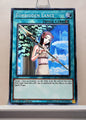 Yugioh! Legendary Hero - Aesir Deck Singles (LEHD - Common) 1st Edition