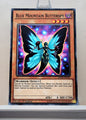 Yugioh! Legendary Hero - Phantom Knights Deck Singles (LEHD - Common) 1st Edition