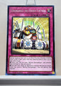 Yugioh! Legacy of Destruction Singles (LEDE - Common) 1st Edition