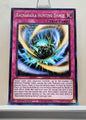 Yugioh! Legacy of Destruction Singles (LEDE - Common) 1st Edition