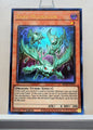 Yugioh! 1x Baby Mudragon (MP22 - Ultra Rare) 1st Edition