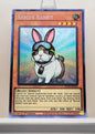 Yugioh! 1x Rescue Rabbit (KICO - Collectors Rare) 1st Edition