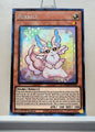 Yugioh! 1x Purrely (AMDE - Collectors Rare) 1st Edition