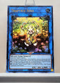 Yugioh! 1x Traptrix Sera (MAMA - Ultra Rare) 1st Edition