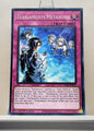 Yugioh! Power of the Elements Singles (POTE - Common) 1st Edition