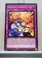 Yugioh! Amazing Defenders Singles (AMDE - Rare) 1st Edition