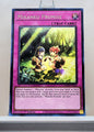 Yugioh! Amazing Defenders Singles (AMDE - Rare) 1st Edition