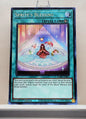 Yugioh! Amazing Defenders Singles (AMDE - Rare) 1st Edition