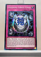 Yugioh! 1x Grinning Grave Virus (SR06 - Super Rare) 1st Edition