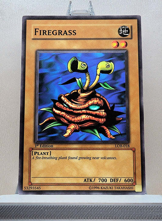 Yugioh! 1x Firegrass (LOB - Common) 1st Edition