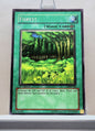 Yugioh! 1x Forest (LOB - Common) 1st Edition