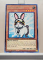 Yugioh! King's Court Singles (KICO - Rare) 1st Edition