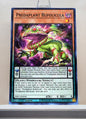 Yugioh! Dimension Force Singles (DIFO - Common) 1st Edition