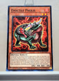 Yugioh! Duelist Nexus Singles (DUNE - Common) 1st Edition