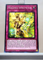 Yugioh! Duelist Nexus Singles (DUNE - Common) 1st Edition