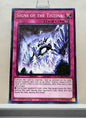 Yugioh! Duelist Nexus Singles (DUNE - Common) 1st Edition