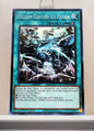 Yugioh! Duelist Nexus Singles (DUNE - Common) 1st Edition