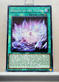 Yugioh! Duelist Nexus Singles (DUNE - Common) 1st Edition