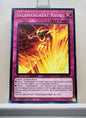 Yugioh! Legendary Duelists: Soulburning Volcano Singles (LD10 - Common/Rare) 1st Edition