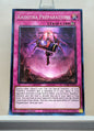 Yugioh! Darkwing Blast Singles (DABL - Common) 1st Edition