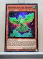 Yugioh! 1x Sentinel of the Tistina (DUNE - Super Rare) 1st Edition