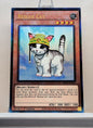 Yugioh! 1x Rescue Cat (RA02 - Prismatic Ultimate Rare) 1st Edition