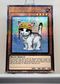 Yugioh! 1x Rescue Cat (RA02 - Quarter Century Secret Rare) 1st Edition