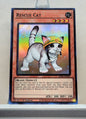 Yugioh! 1x Rescue Cat Alt Art (RA02 - Super Rare) 1st Edition