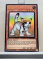 Yugioh! 1x Rescue Cat Alt Art (RA02 - Ultra Rare) 1st Edition