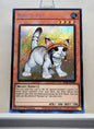 Yugioh! 1x Rescue Cat Alt Art (RA02 - Secret Rare) 1st Edition