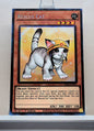 Yugioh! 1x Rescue Cat Alt Art (RA02 - Prismatic Collectors Rare) 1st Edition