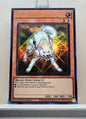 Yugioh! 1x Ryko, Lightsworn Hunter (RA02 - Ultra Rare) 1st Edition