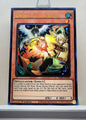 Yugioh! 1x Droll & Lock Bird Alt Art (RA02 - Ultra Rare) 1st Edition