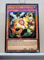 Yugioh! 1x Droll & Lock Bird Alt Art (RA02 - Prismatic Collectors Rare) 1st Edition