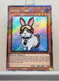 Yugioh! 1x Rescue Rabbit (RA02 - Platinum Secret Rare) 1st Edition