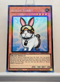 Yugioh! 1x Rescue Rabbit (RA02 - Prismatic Collectors Rare) 1st Edition