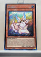 Yugioh! 1x Purrely (RA02 - Secret Rare) 1st Edition