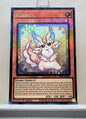 Yugioh! 1x Purrely (RA02 - Prismatic Collectors Rare) 1st Edition