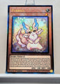 Yugioh! 1x Purrely (RA02 - Prismatic Ultimate Rare) 1st Edition