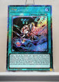 Yugioh! 1x Xyz Encore (RA02 - Platinum Secret Rare) 1st Edition