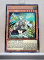 Yugioh! 1x Wynn the Wind Channeler (MP21 - Prismatic Secret Rare) 1st Edition