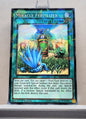 Yugioh! 1x Miracle Fertilizer (BP03 - Shatterfoil Rare) 1st Edition