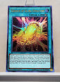 Yugioh! 1x Cocoon of Ultra Evolution (LED2 - Ultra Rare) 1st Edition