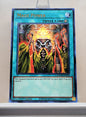 Yugioh! 1x Mage Power (MAGO - Rare) 1st Edition