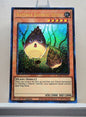 Yugioh! 1x Naturia Bamboo Shoot (HAC1 - Duel Terminal Ultra Parallel Rare) 1st Edition